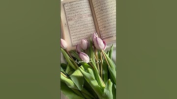 سورة "الأعراف " بصوت القارئ عبد الرحمن مسعد ❤️🍂 #قرآن #اكسبلور #لايك #عبدالرحمن_مسعد #راحة_نفسية