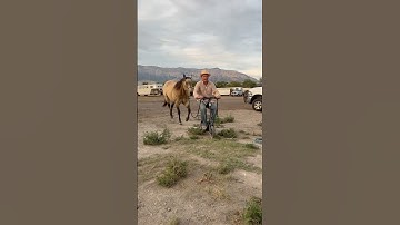 Rolling into the ProAm in style!