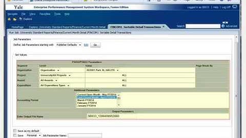 Data Warehouse Portal: Running Ad Hoc Reports