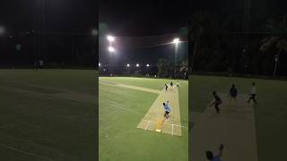 1 Run Cricket