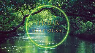 [ 1Hour Sleep Music ][ Deep Sleep ][ Relaxation Music ] - Forest Sounds