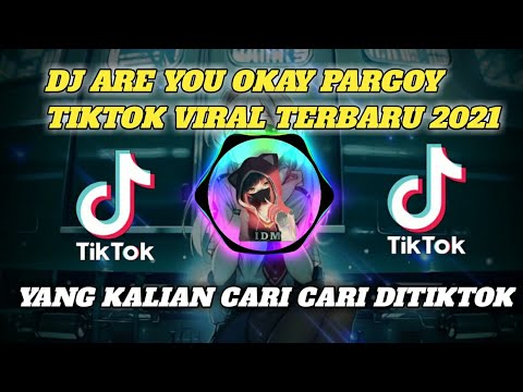 ARE YOU OKAY PARGOY TIKTOK VIRAL BEST MELODY GUE TAU REMIX