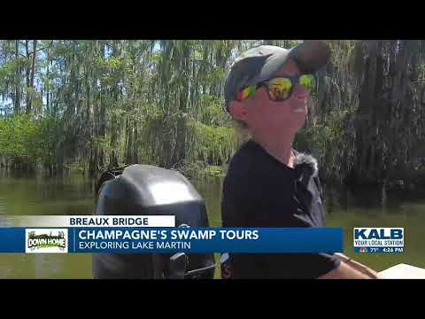 Champagne's Swamp Tours Highlight