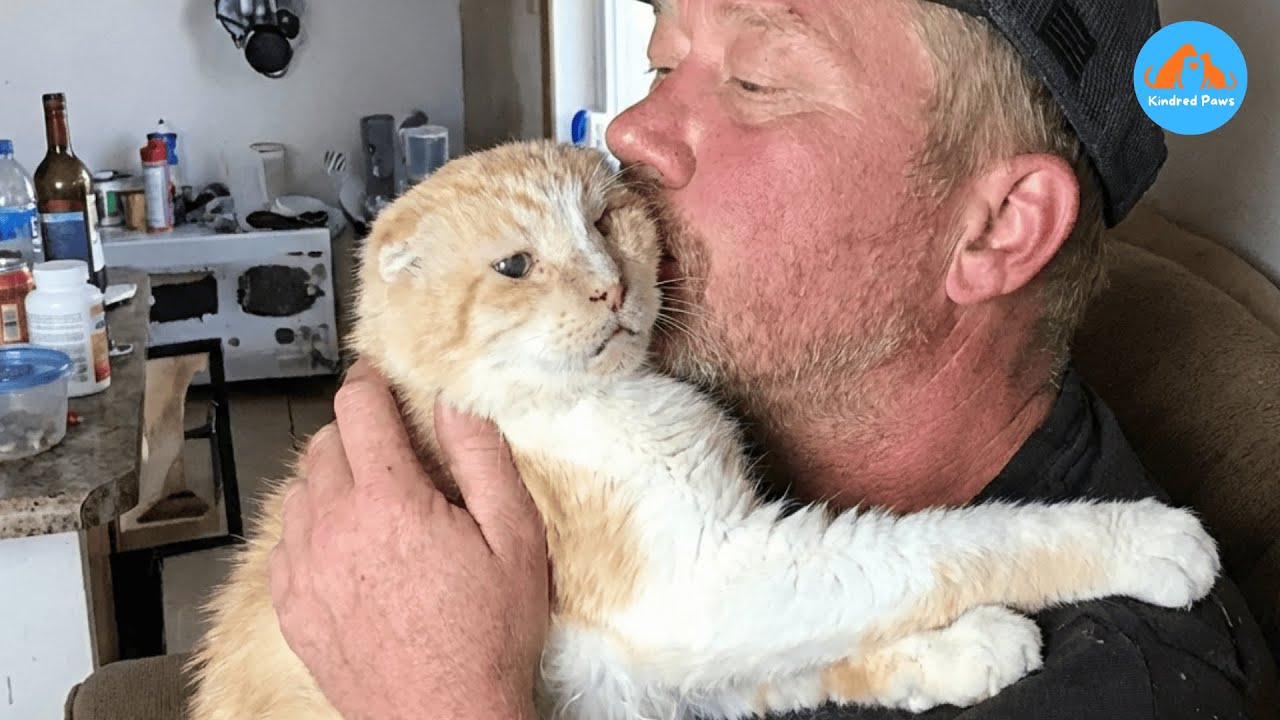 Он был сломлен, слеп и одинок — но это объятие спасло ему жизнь.