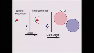 Ben Callahan, Improving the accuracy and resolution of microbiome analysis