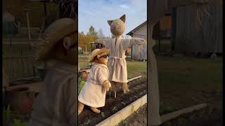 Кот Садовод гоняет ворон