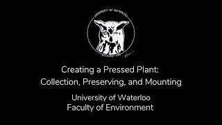 Creating a Pressed Plant: Collection, Preserving, and Mounting
