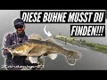 Zander angeln am Fluss - mit Gummifisch und Jigkopf die richtige Buhne finden