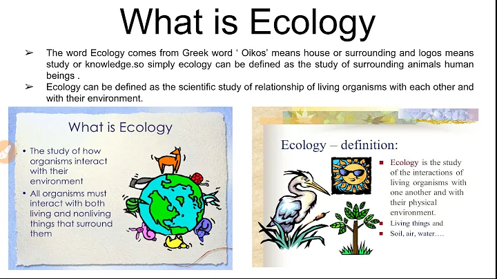 What is ecology and ecosystem, classification of ecosystem - DayDayNews