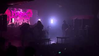 Dark Devine digital Numb