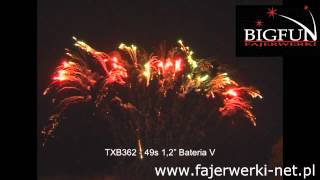 TXB362 BATERIA V TRIPLEX