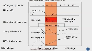 Lâm sàng chẩn đoán và điều trị Sốt xuất huyết Dengue