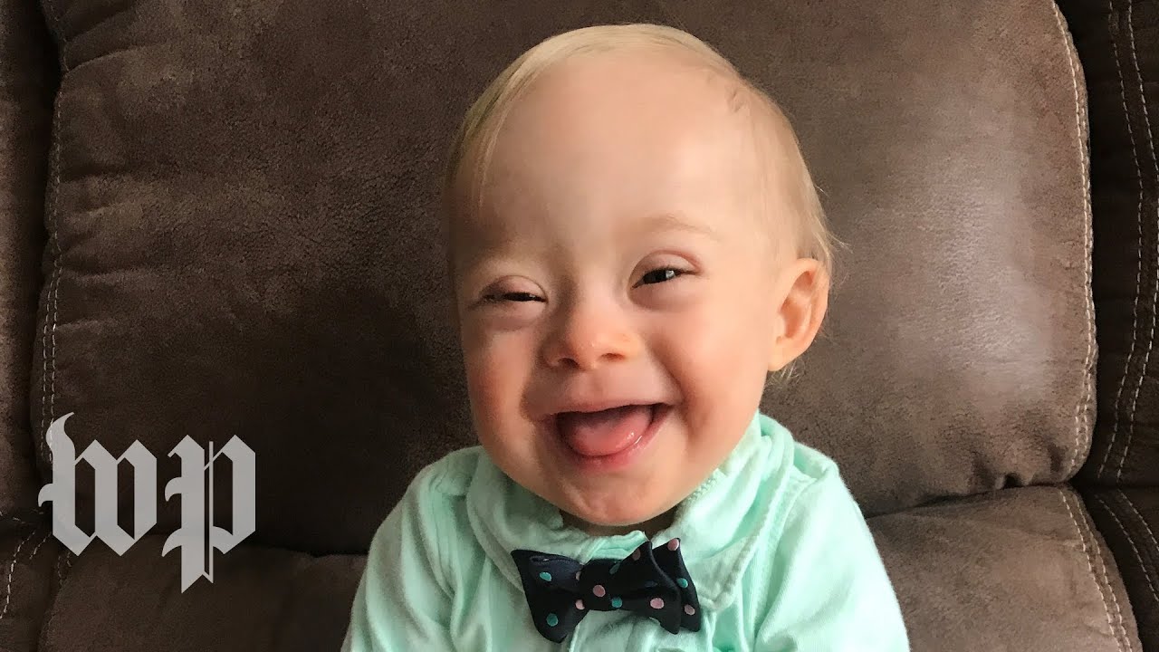 meet the 2018 gerber