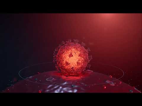 Targeting ACE2 Receptors