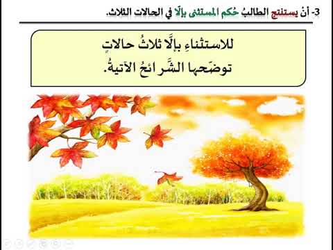 أسلوب الاستثناء المستثنى بال ا الحلقة الأولى 