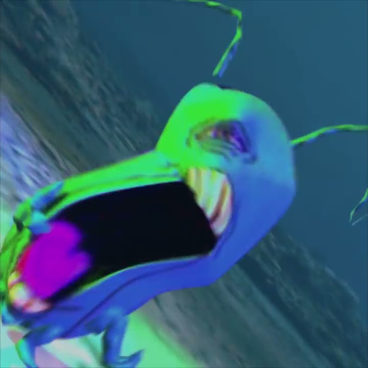 Plankton Knows