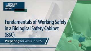 Fundamentals of Working Safely in a Biological Safety Cabinet (BSC): Preparing for Work in a BSC