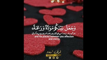 ♥️وجعل بينكم مودة ورحمة♥️ سورة الروم:٢١|ميفلان كورتش|Surah Ar Room:21|Mevlan Kurtishi
