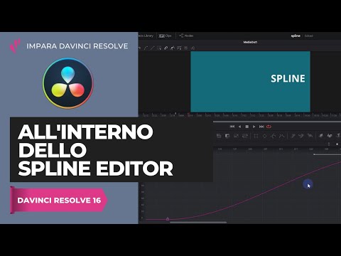 Video: Una Revisione Delle Procedure Della Funzione Spline In R