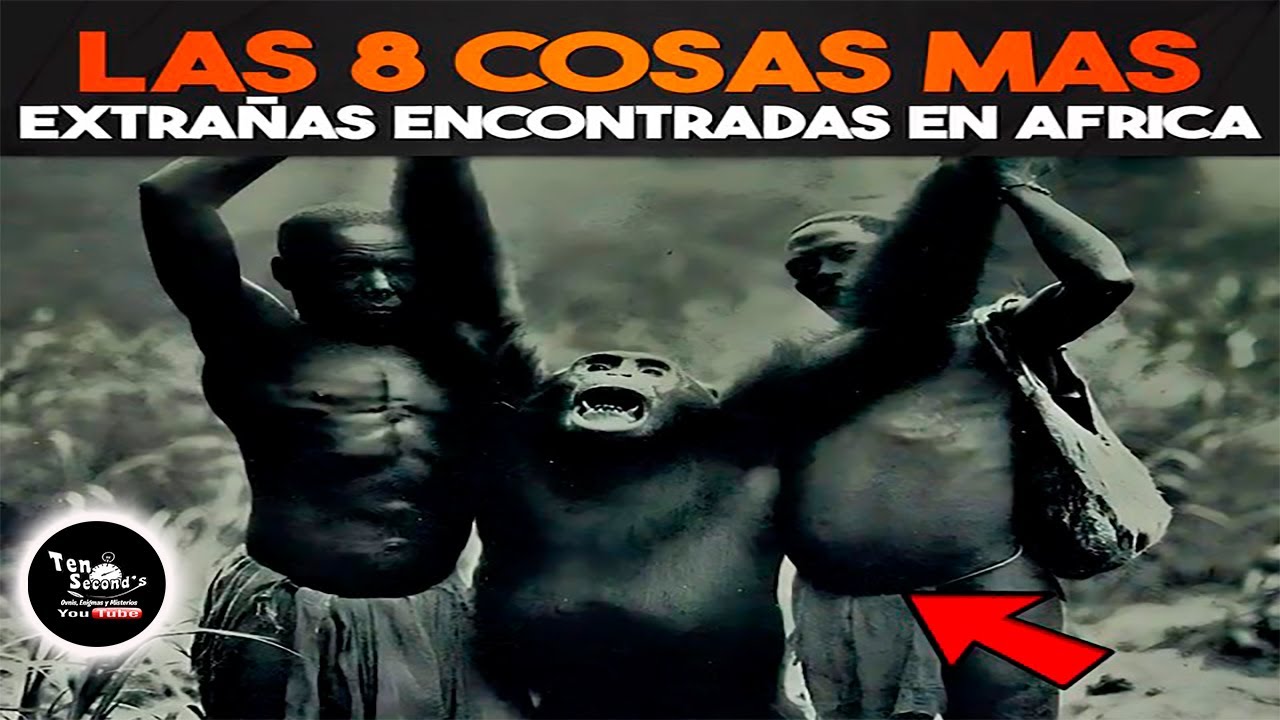 Las 8 Cosas Mas Extrañas Encontradas En África - YouTube