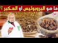 ما هو البروبوليس او العكبر وما هي فوائده وكيف يستخدم مع الدكتور عماد ميزاب