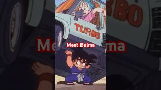 GOKU THINKS BULMA IS A GOBLIN - DRAGON BALL.