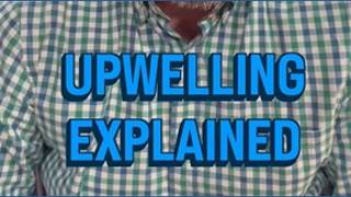 Alan Holt explains upwelling