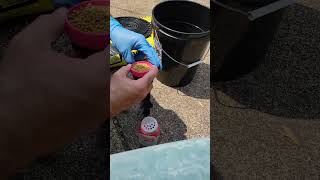 Boost Garden Growth with Cow Manure and Old Socks Part 1