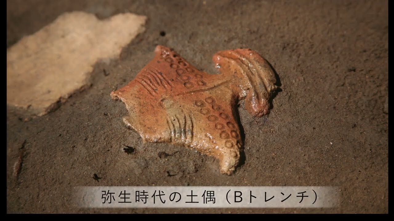 2022　つがる市　発掘調査情報　世界遺産 北海道・北東北の縄文遺跡群 最新情報