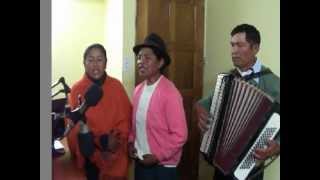 Video thumbnail of "Conjunto Musical "Los Rayos del Sol"  LA FLOR DE CHIMBALITO"