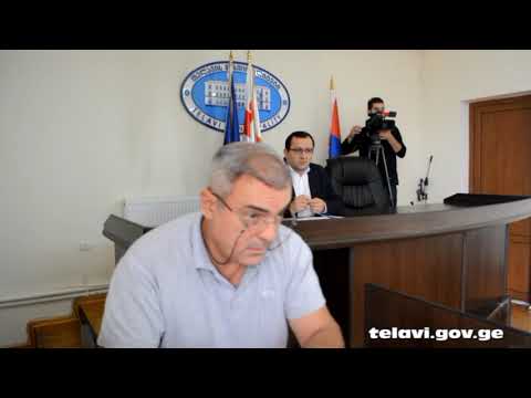 N6- იზოლდა ჭყოიძისათვის ქონების დროებით  გადაცემა- 27.09.2019