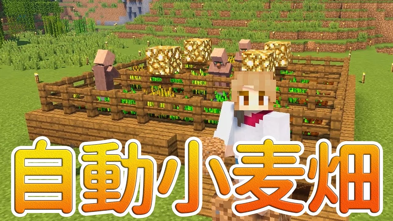 Minecrafte サルでもわかる 小麦畑編 16選です Skin Body Men Health