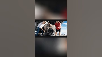 Hùng Trọc và Tí béo thả ký sinh xuống trường học để troll Capybara #capybara #shorts