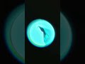 Life of Pentesters !! #cybersecurity #hacker #shortvideo #motivation #viral