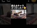 最近のすずめ、自由すぎる。😂Suzume Has Become Way Too Free-Spirited.