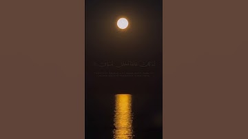 قران كريم ارح قلبك وسمعك #قران_في_دقيقة #quran #قرآن #رزكار_الكردي @قران_في_دقيقة