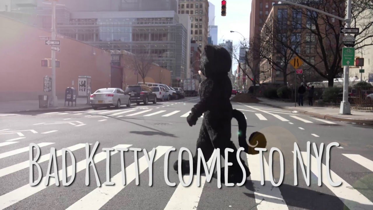 Bad Kitty Comes to NYC!