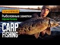 Рыболовные заметки Сергея Попова - Carp Fishing
