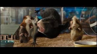 G-FORCE movie ll comedy scene ll most funny video clip....