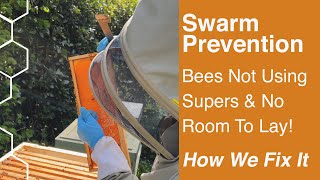 Swarm Prevention, How to fix Supers not being used in a honey bound hive, using other hives to help