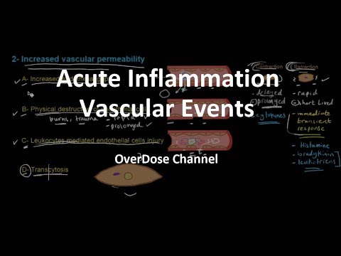 Acute Inflammation | Vascular events | عربي