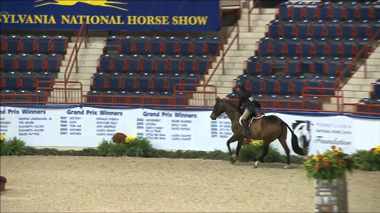 303 CHARMED I'M SURE   Katlyn Schwarzwaelder   NAL Adult Hunter Finals Round 2