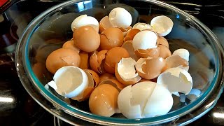 After Seeing THIS You Will NEVER Throw Another Egg Shell Away! by Plant Abundance 218,173 views 1 year ago 6 minutes