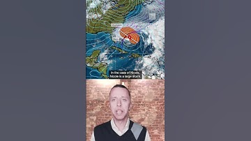 Here’s why Nicole’s size matters #shorts