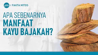 Fakta Mitos Seputar Kayu Bajakah Yang Harus Diketahui | Hidup Sehat tvOne