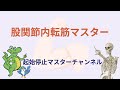 【筋肉】股関節内転筋マスター