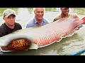 Catching A HUGE Red And Gold ARAPAIMA | River Monsters