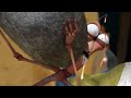 Insecto palo | LARVA | Dibujos animados para niños | WildBrain Niños