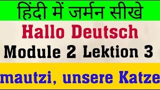 HALLO DEUTSCH | MODULE 2 - LEKTION 3 | MAUTZU, UNSERE KATZE