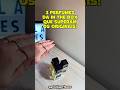 PERFUMES DA IN THE BOX QUE SUPERAM OS ORIGINAIS! #intheboxperfumes